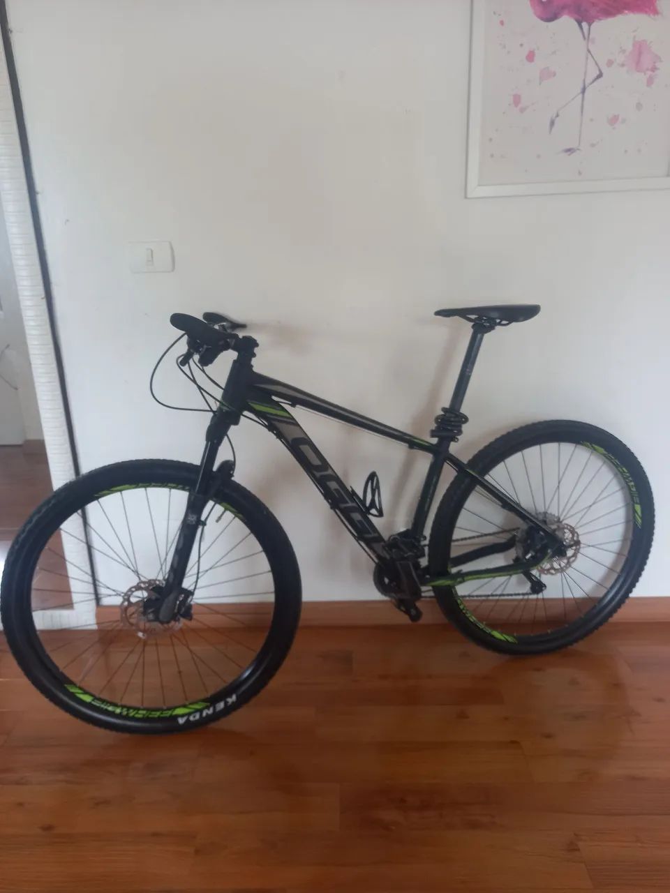 Bike oggi 7.4