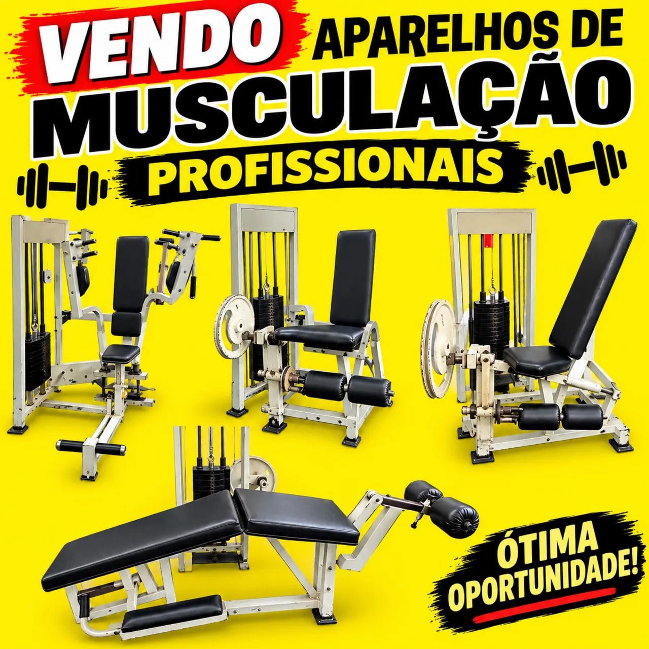 Aparelho musculação profissional 