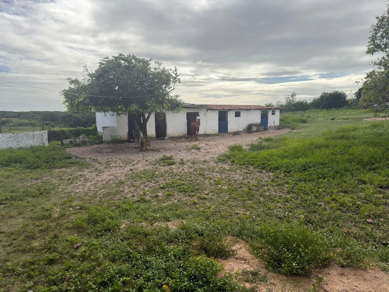 Oportunidade;Granja em Macaíba bem arejada e tranquila e ventilada  - Foto 3
