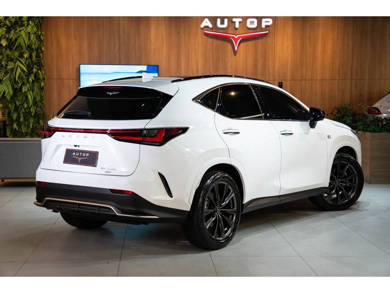 Lexus NX-350h F-sport 2.5 16V Aut. (hybrid), foto 4 de 20