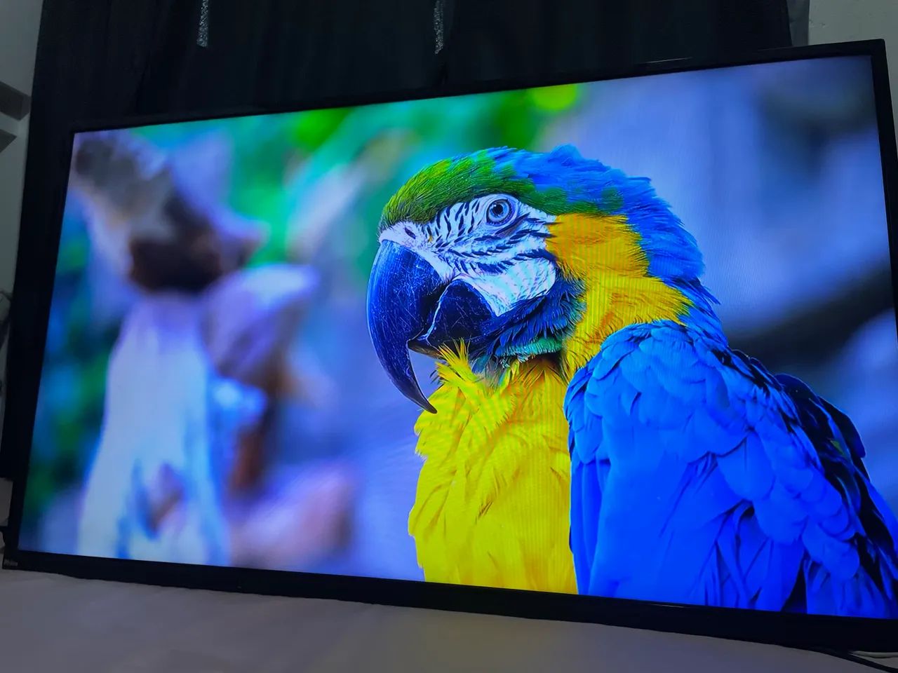 SMART TV 43 - Foto 5