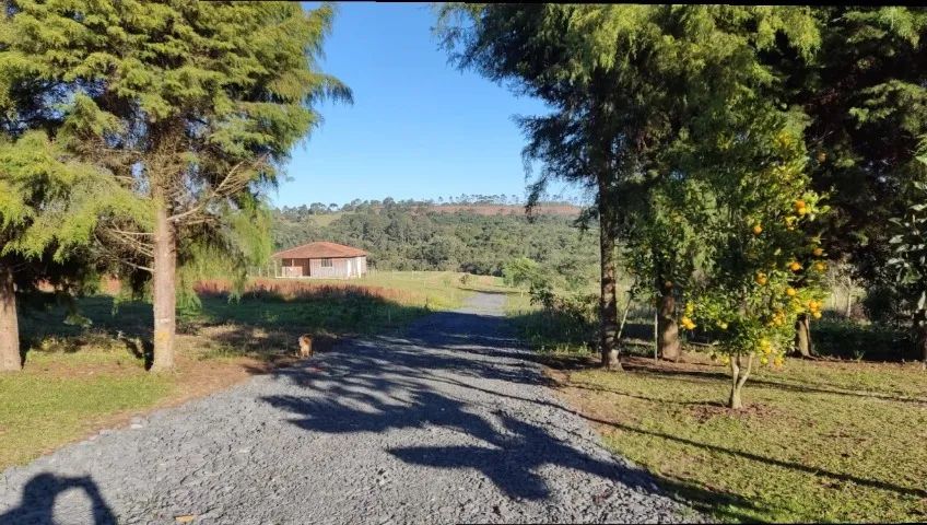 Terreno cidade da Lapa PR  - Foto 3