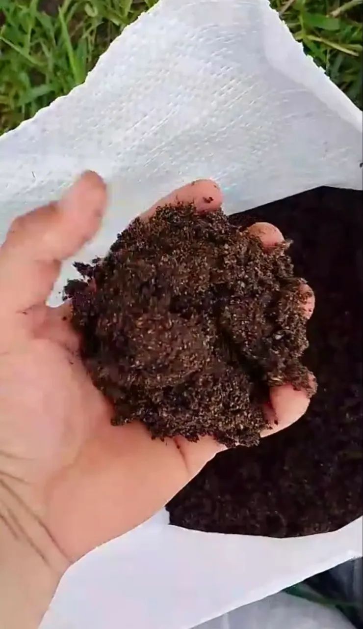 Esterco bovino saco de 20kg