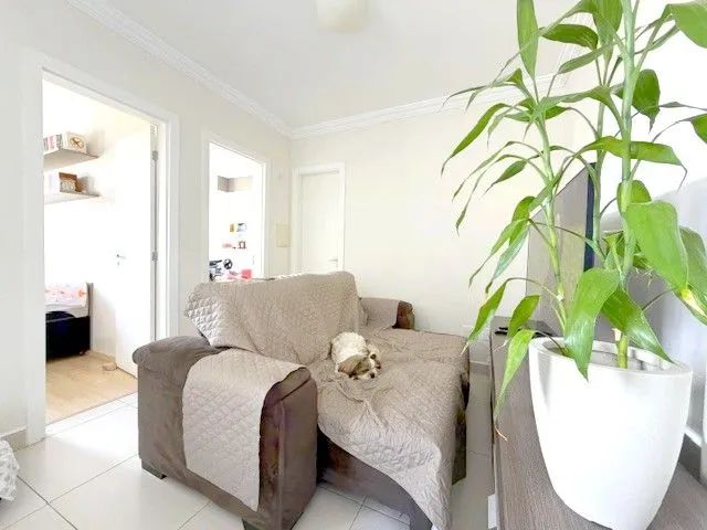 Apartamento de 2 quartos no Tingui - Foto 2