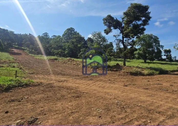Lote para Venda em Pará de Minas, Centro - Foto 4