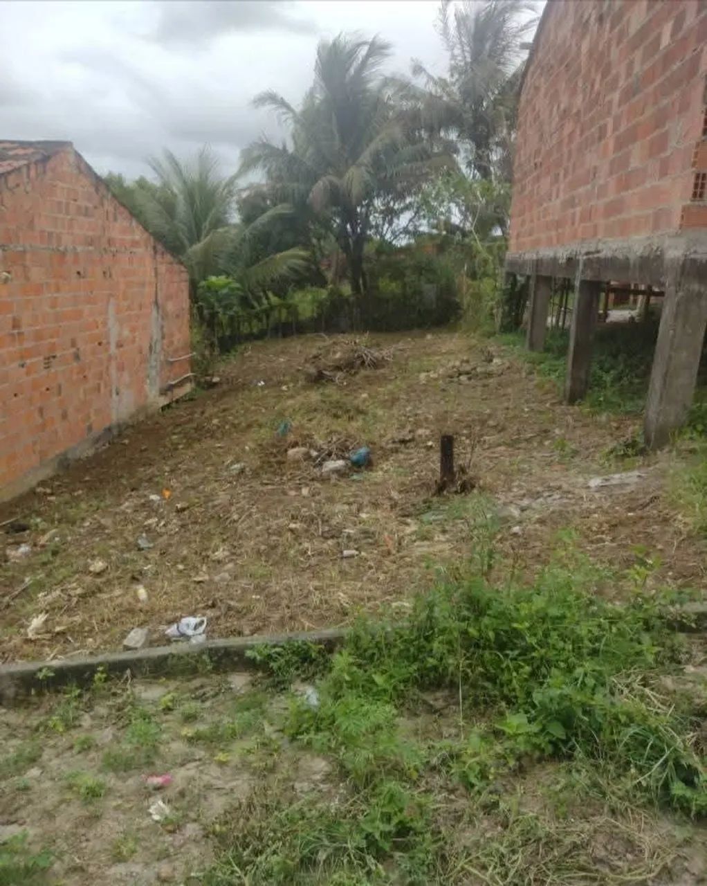 Terreno - Foto 3