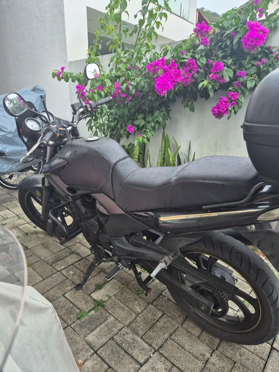 Fazer 250 Limited edition - Foto 2