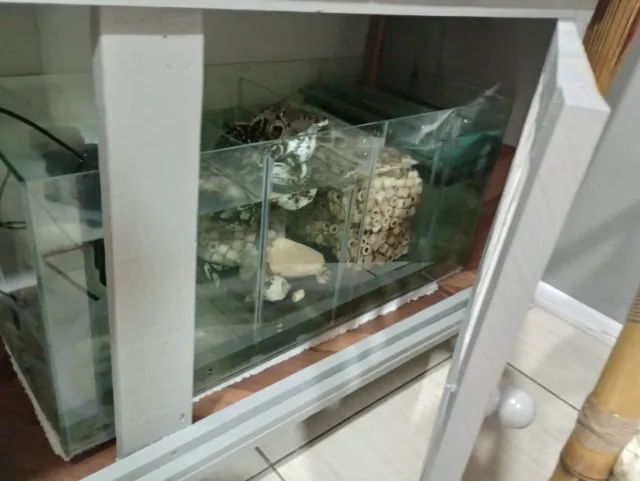 Aquário completo - Foto 3