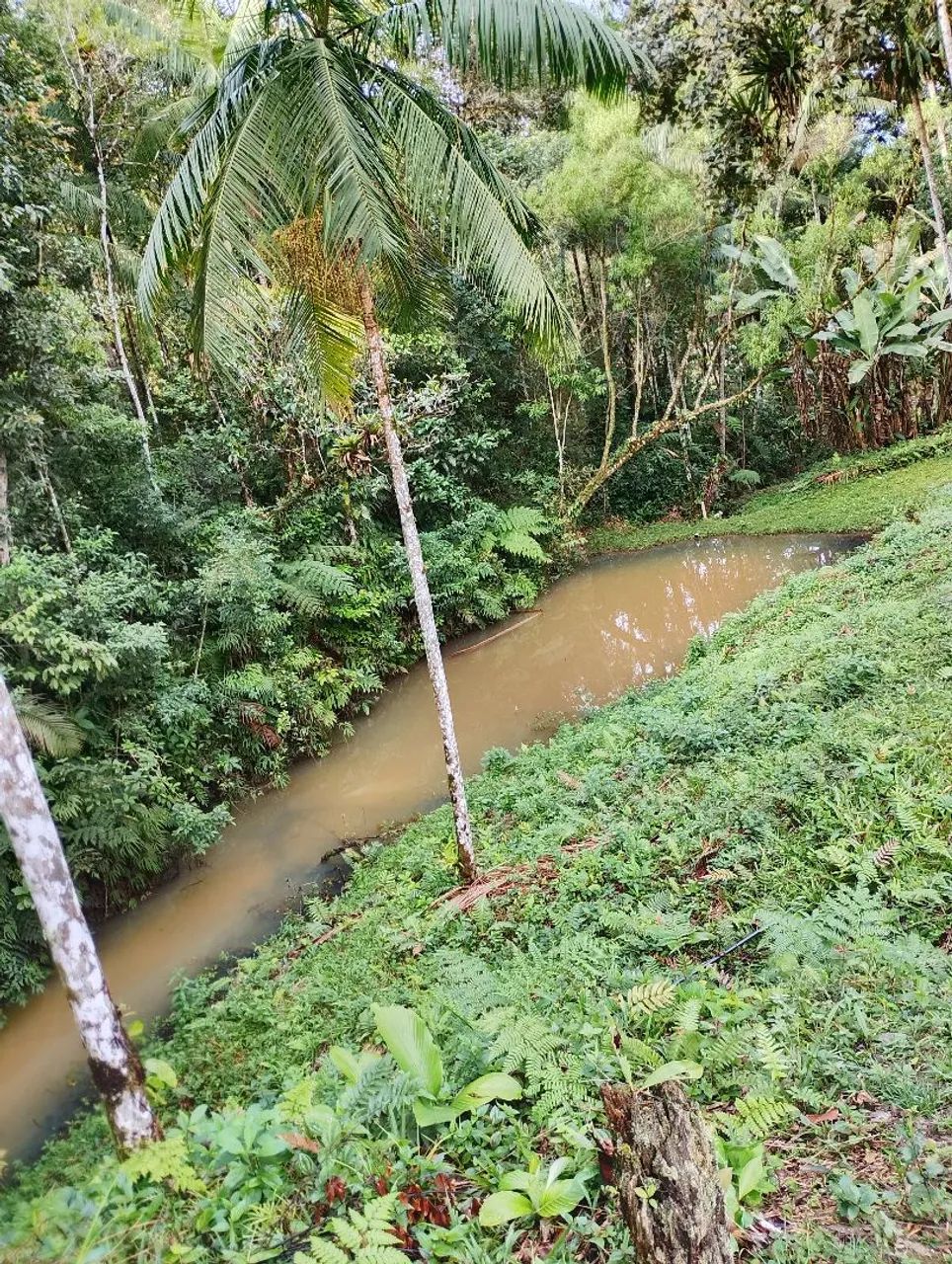 Sítio a venda  - Foto 2