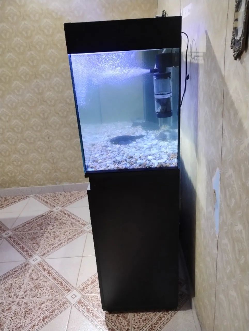 Aquário marca H2BOX com samp interno - Foto 2
