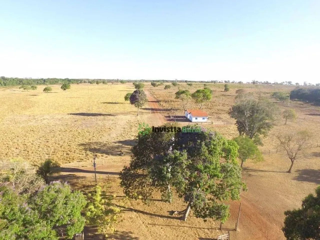 Fazenda de 714 alqueires com relevo 100% plano e logística estratégica no Tocantins - Foto 2