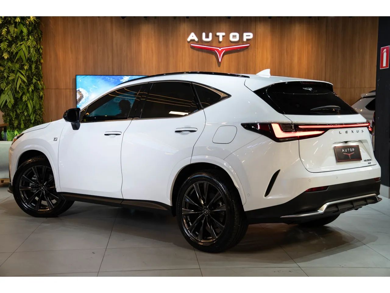 Lexus NX-350h F-sport 2.5 16V Aut. (hybrid), foto 3 de 20