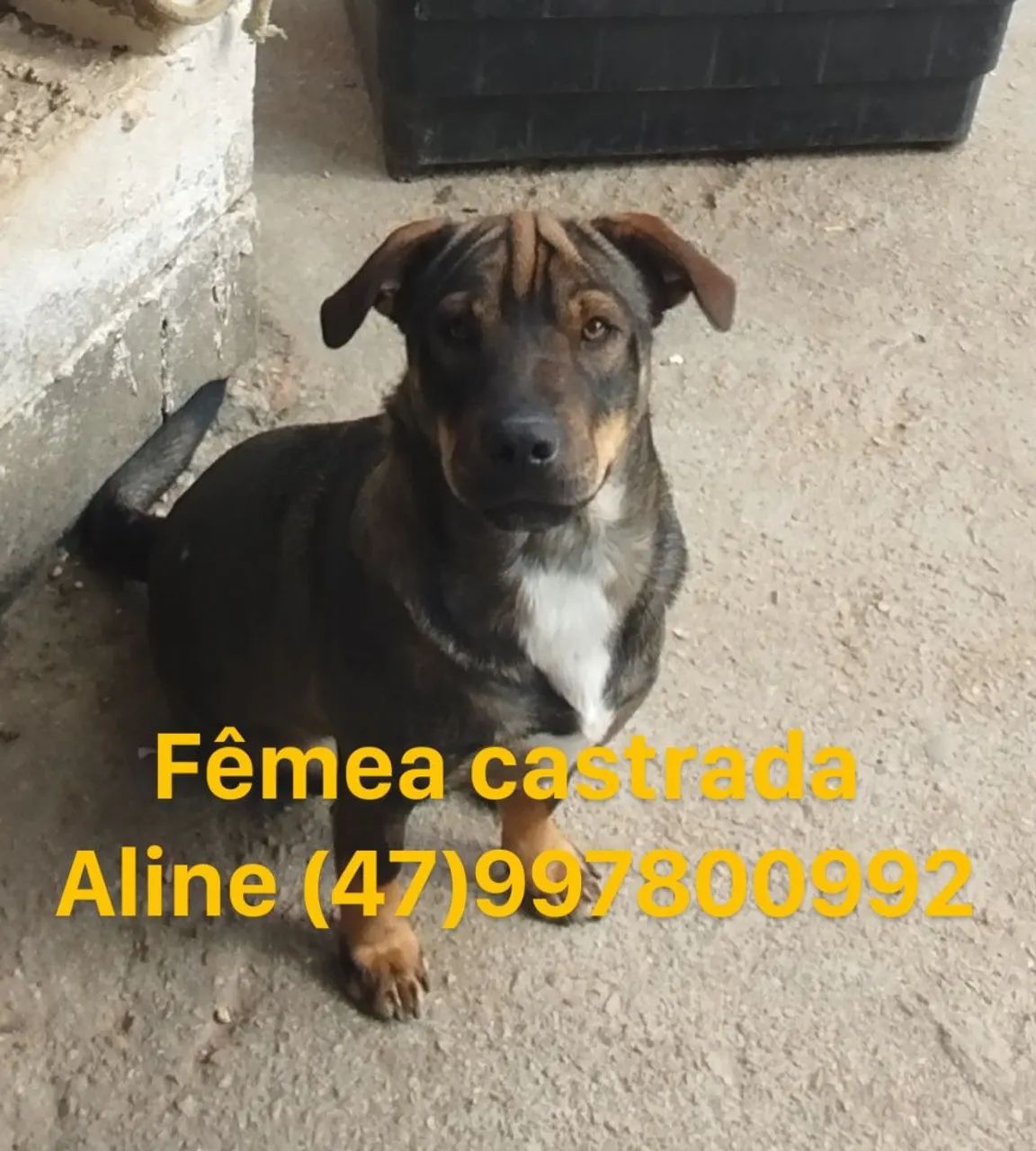 Doação 