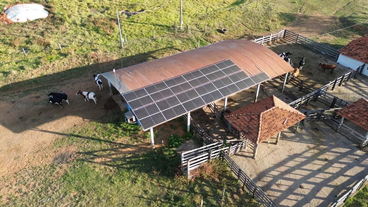 Fazenda na região do prata  - Foto 4