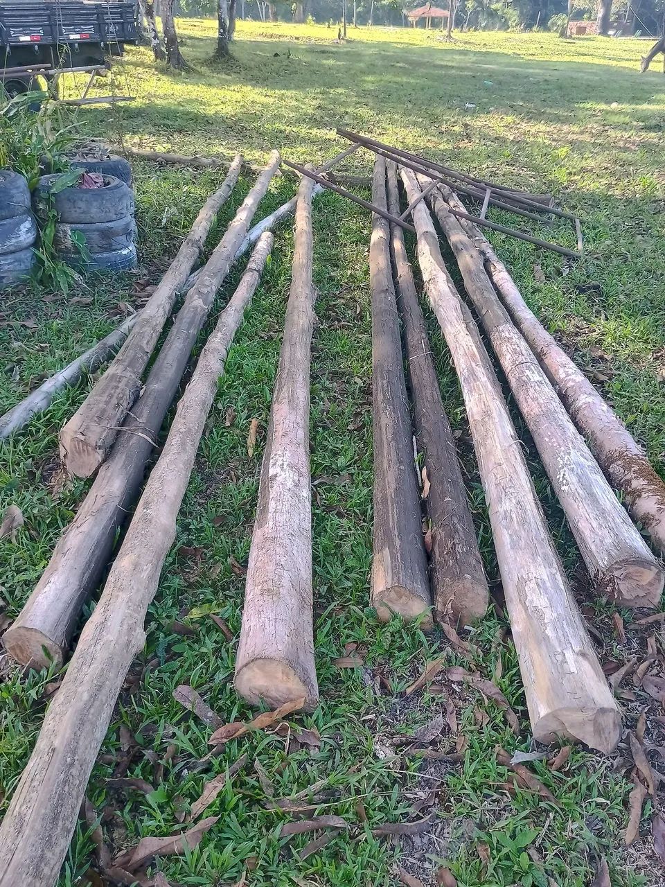 Madeira Lisa de Lei ( Avenida ) - Foto 3