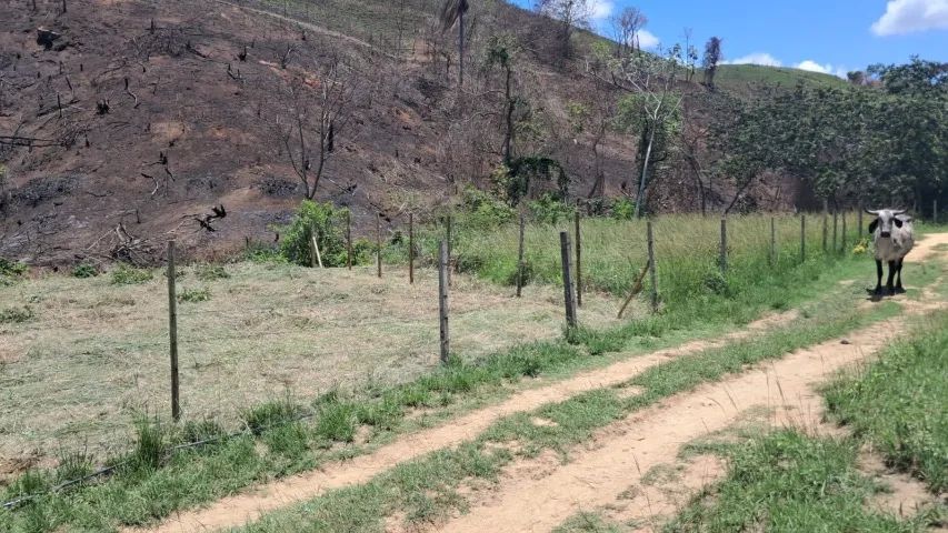 Vendo terreno em Três Rios  - Foto 4