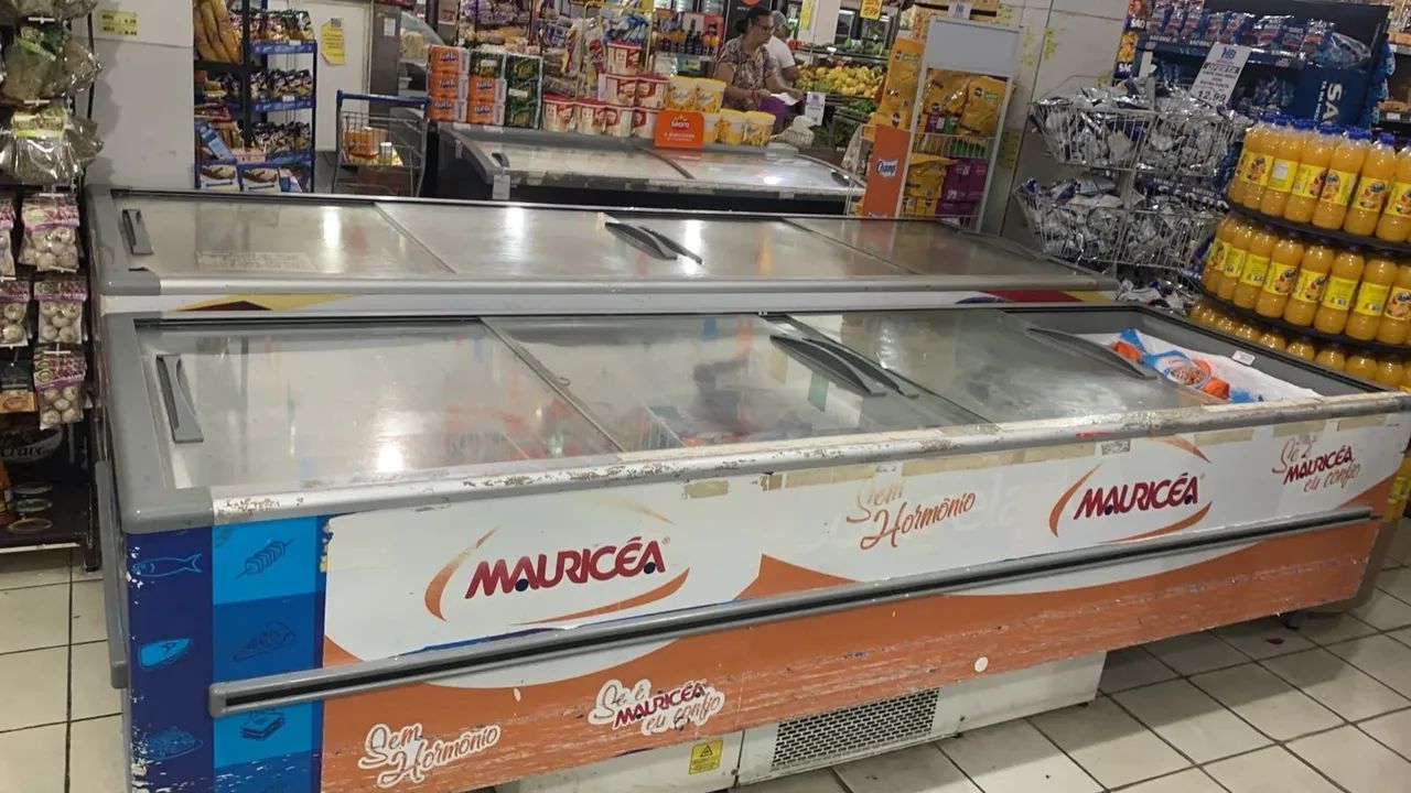 Vendo Freezer profissional 