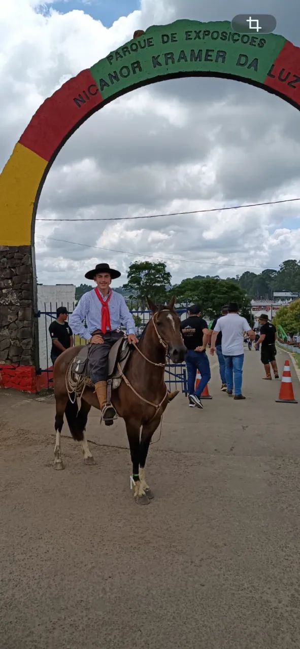 Cavalo Zaino - Foto 2