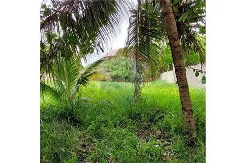 Excelente terreno (chacará) próximo a Massagueirinha - Foto 6