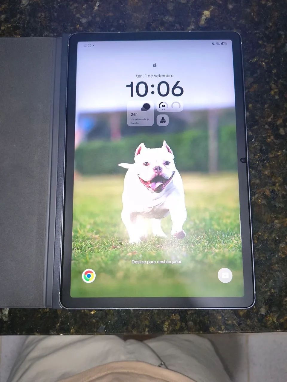 Tablet Samsung Galaxy S10FE , 128Gb , acompanha capa ,caneta ,e teclado ,caixa e carregado