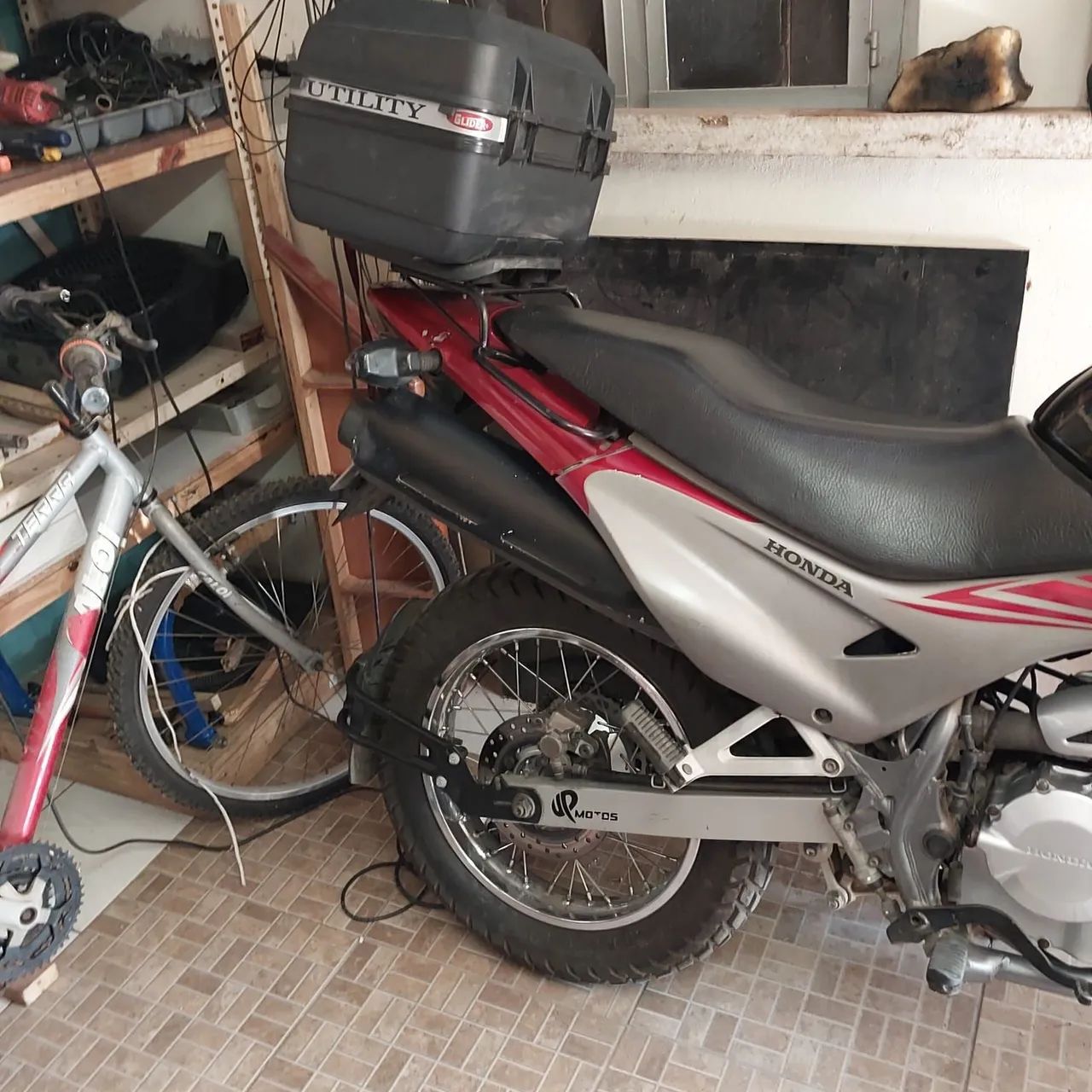 Falcon - Foto 2