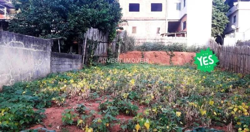 Terreno - Ubá MG - Foto 2