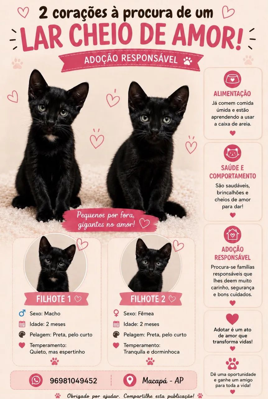 Gatos