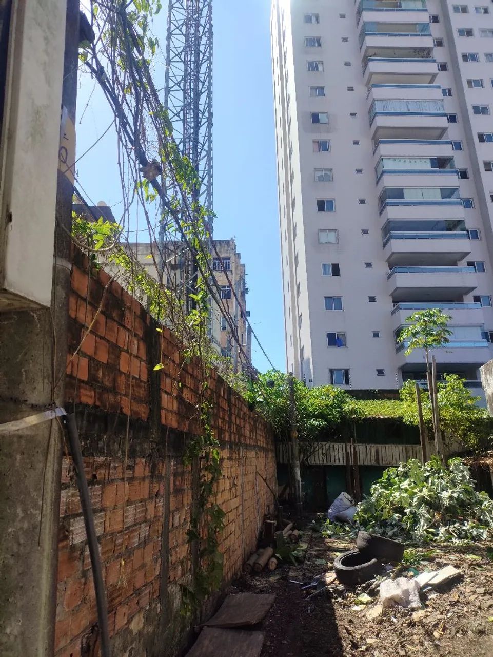 Corte e portas de árvore  - Foto 3