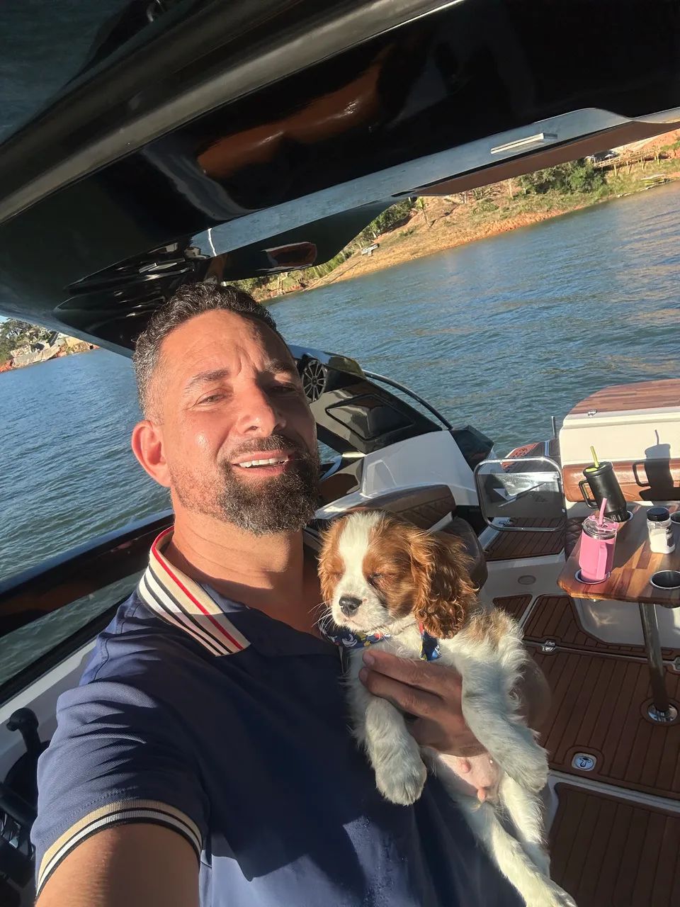 Cavalier king charles  - Foto 4