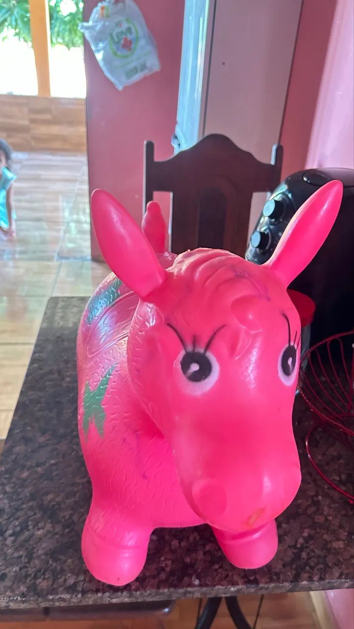 Burrinho de borracha  - Foto 2