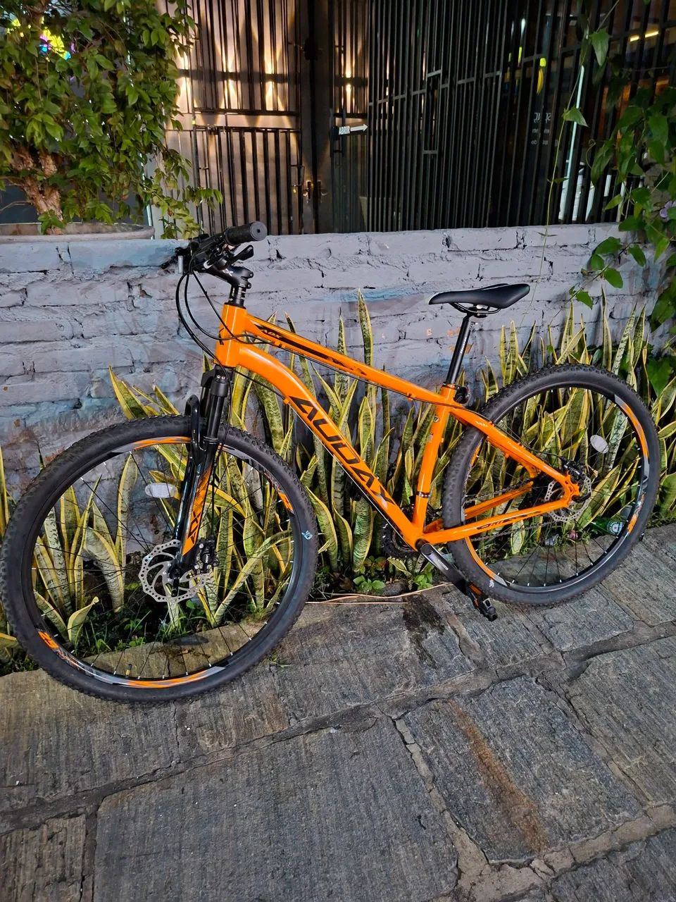 Bicicleta  Audax Aro 29 