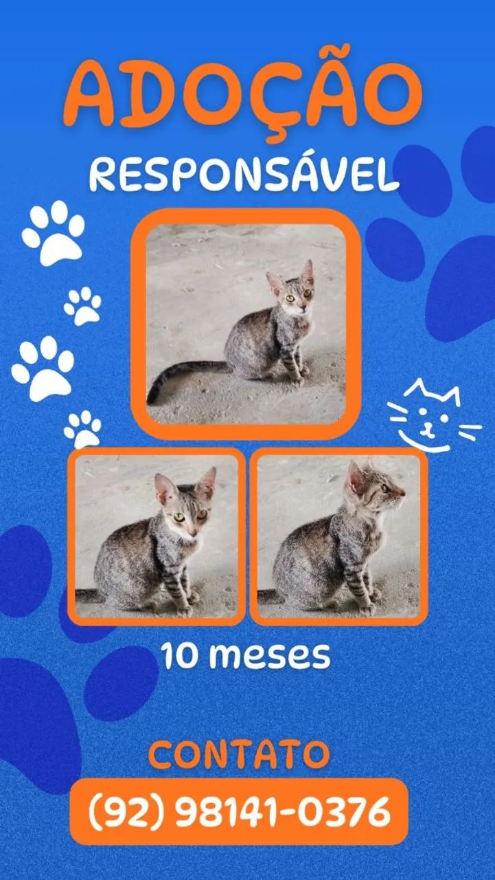Adoção responsável de animais.