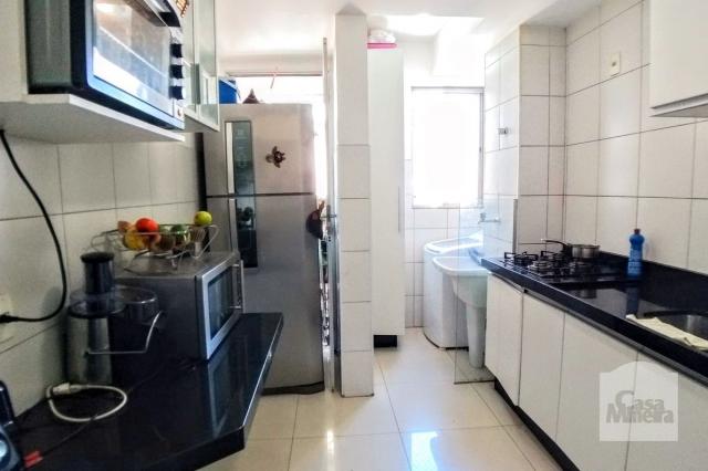 Apartamento à venda com 3 dormitórios em Havaí, Belo horizonte cod:249749 - Foto 13