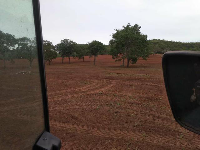 Fazenda em Guiratinga 680Hectares - Foto 7