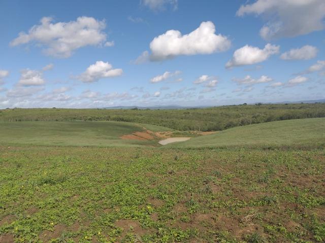Propriedade de 8 hectares-toda cercada-com 2 casas, a 5 km de Apoti-PE - Foto 7
