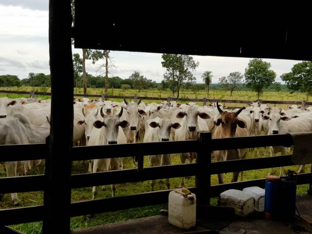 Fazenda c/ 357 alqueires em Porto Esperidião