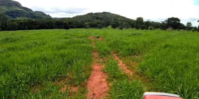 Fazenda em Guiratinga 680Hectares - Foto 10