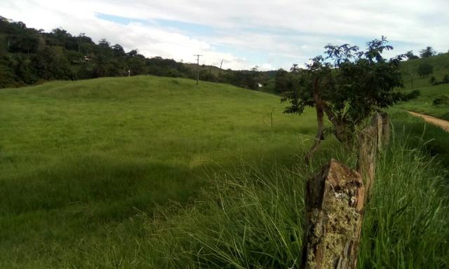 Ótima Fazenda Mista Gado e Cacau - Foto 16