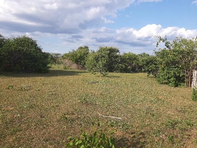 Vendo fazenda ou troco - Foto 10