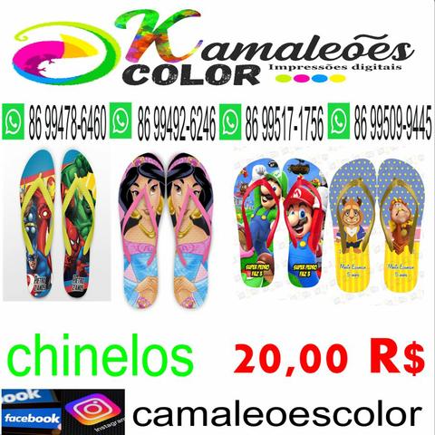 Camaleoescolor - Foto 3