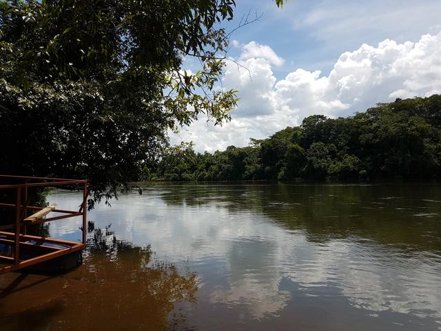 Sitio no Rio Manso - Foto 16