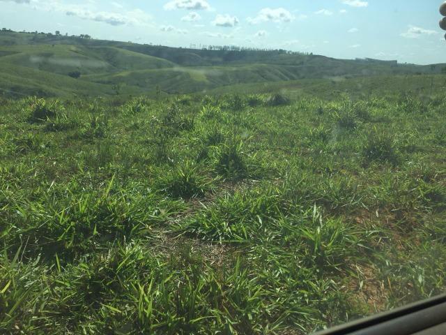Fazenda em bambui 440 hectares 3.000.000.00 - Foto 4