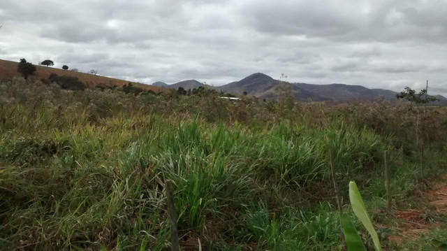 Oportunidade vende-se Chácara em Condomínio - Foto 3