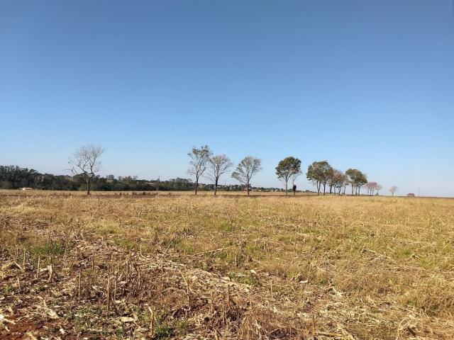 Chácara próxima da cidade de Entre Rios do Oeste PR Troco por casa ou sobrado - Foto 2