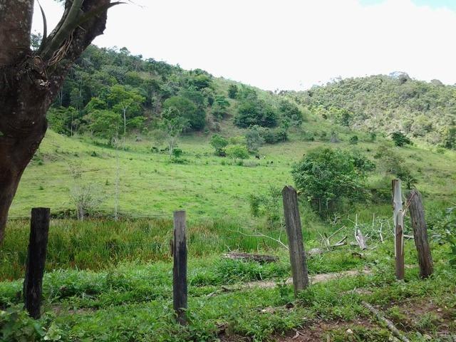 Fazenda - Foto 10