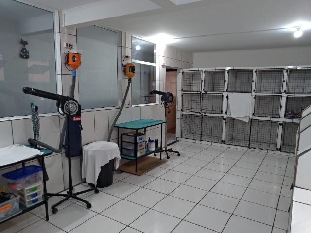 Pet Shop-Vila Guilherme - Foto 2