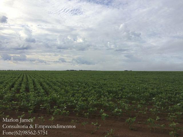 Fazenda em Mundo Novo! - Foto 3