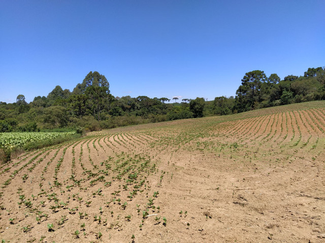 sitio Felipe - Foto 4