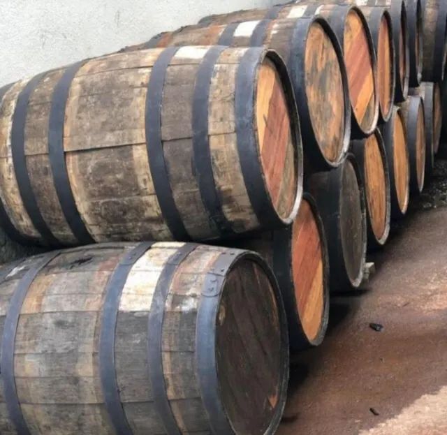 Barril de carvalho europeu - Foto 2