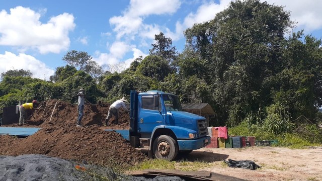 Adubo de bode e gado 